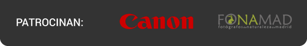 Logo Canon y Fonamad