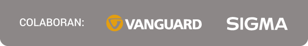 Colaboradores Vanguard y Sigma