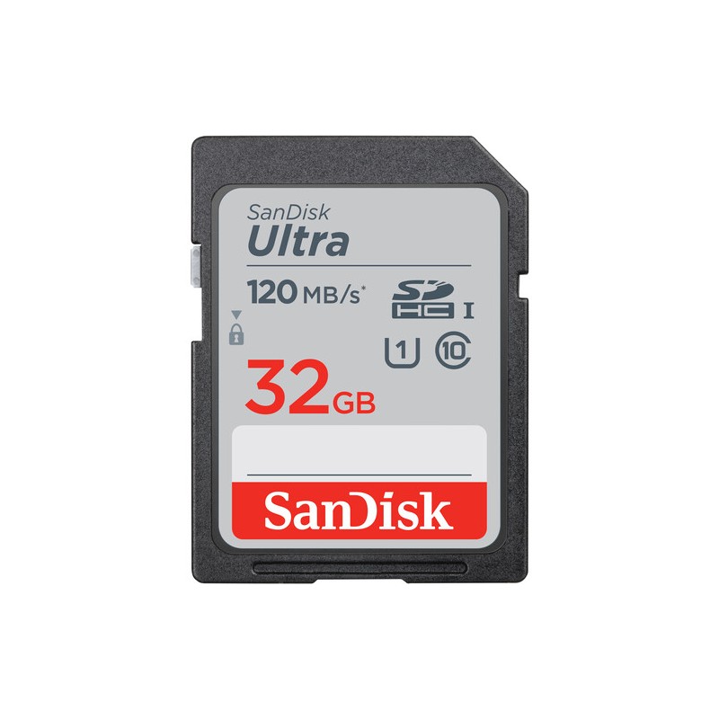 SanDisk 32 GB SDHC Ultra C10