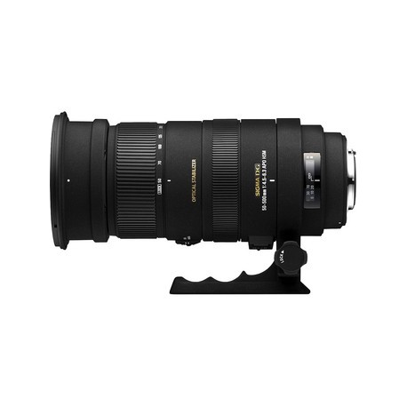 ❤️SIGMA APO 50-500mm f4-6.3 EX DG HSM❤️ - レンズ(ズーム)