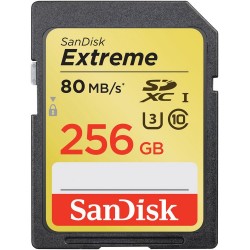 SanDisk 32 Gb SDHC Extreme Clase 10 
