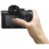 Sony A7r III + 50mm f1.8