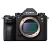Sony A9 + 24-70mm f2.8 GM