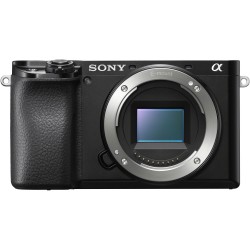 Sony Alpha 6100 + 16-70mm