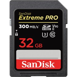 SanDisk Extreme Pro V90
