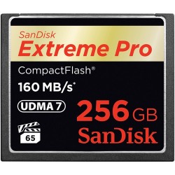 SanDisk 256 Gb Extreme Pro...