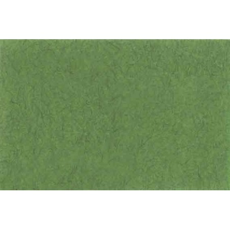 Lastolite Fondo de Papel Grass Green 2.75 x 11 M.