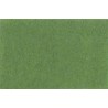 Lastolite Fondo de Papel Grass Green 2.75 x 11 M.