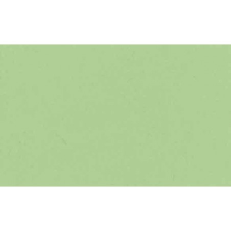 Lastolite Fondo de Papel Verde CromaKey 2.75 x 11 M.
