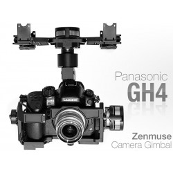 Panasonic GH4R + Olympus...