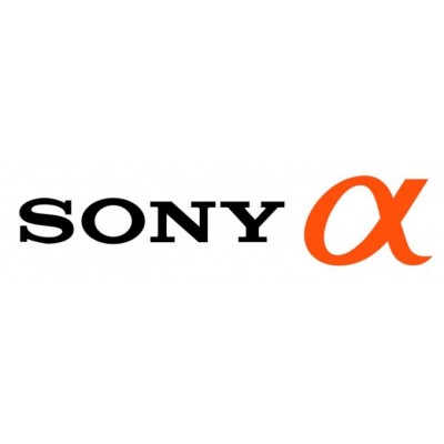 Empuñadura Sony