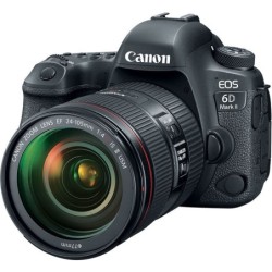 Canon EOS 6d Mark II + 24-105mm f4 L IS EF II