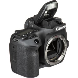 Canon EOS 90D + Sigma 100-400mm f5‑6.3 Contemporary