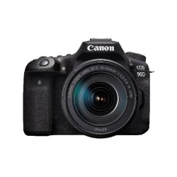 Canon EOS 90D + Sigma 100-400mm f5-6.3 Contemporary