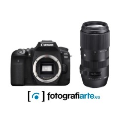 Canon EOS 90D + Sigma 100-400mm f5-6.3 Contemporary