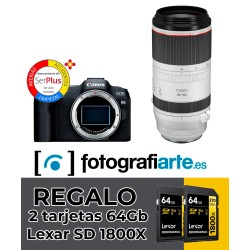 Canon EOS R8 + RF 100-500mm f4.5-7.1