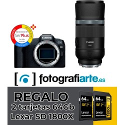 Canon EOS R8 + RF 600mm f11