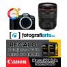 Canon EOS R8 + RF 24-105mm f4 L