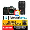 Canon EOS R7 + RF 100-400mm f5.6-8