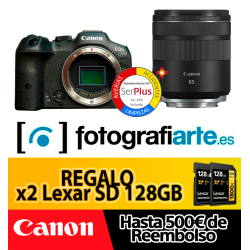 Canon EOS R7 + RF 85mm f2