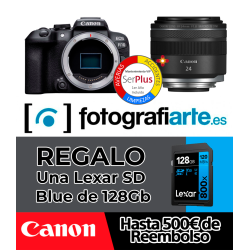 Canon R10 + RF 24mm
