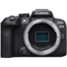 Canon EOS R10 + RF 35mm f1.8