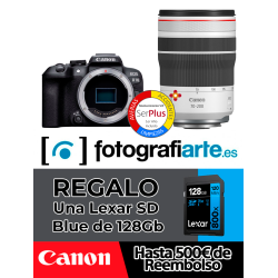 Canon R10 + RF 70-200mm