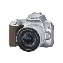 Canon EOS 250D Silver + 18-55mm IS STM