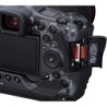 Canon Eos R3 + RF 100-500mm f4.5-7.1L