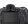 Canon EOS R5 + 100-400mm