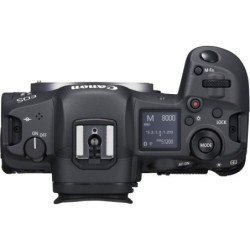 Canon Eos R5 + RF 100-500mm f4.5-7.1 L