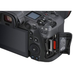 Canon Eos R5 + RF 100-500mm f4.5-7.1 L