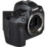 Canon Eos R + RF 600mm f11