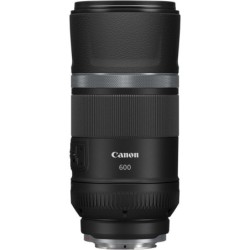 Canon Eos R6 + RF 600mm f11 IS STM