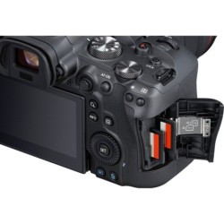 Canon Eos R6 + RF 100-400mm f5.6-8 IS USM