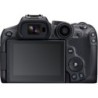 Canon EOS R7+ RF 100-500mm f4.5-7.1