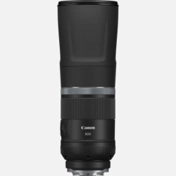 Canon EOS R7 + RF 800mm f11 IS STM