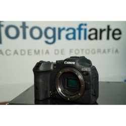 Canon EOS R7 + RF 24-240mm f4-6.3 IS USM