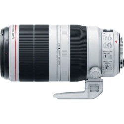 Canon 100-400mm f4.5-5.6 L IS II USM