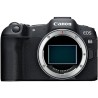 Canon R8 + RF 100-400mm