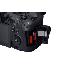 Canon Eos R6 II + RF 70-200mm f2.8