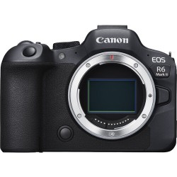 Canon Eos R6 II + RF 100mm f2.8 L IS
